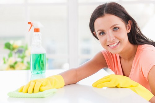 Living room sofa cleaning with upholstery care products