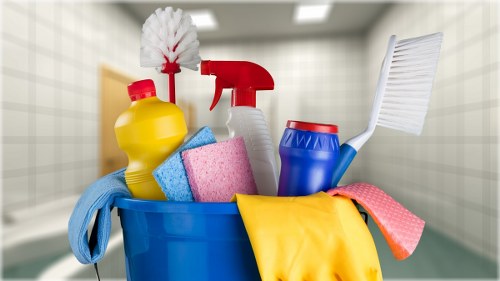 Domestic cleaning supplies arranged for home maintenance