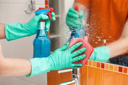 Regular cleaning of a bright home interior
