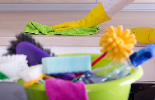 Daily cleaning tasks for a tidy household