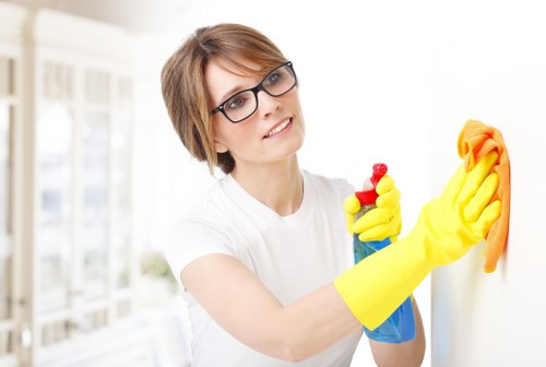 Bathroom surfaces being scrubbed during a deep cleaning routine