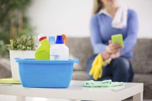 Kitchen appliance maintenance with oven cleaning tools and supplies