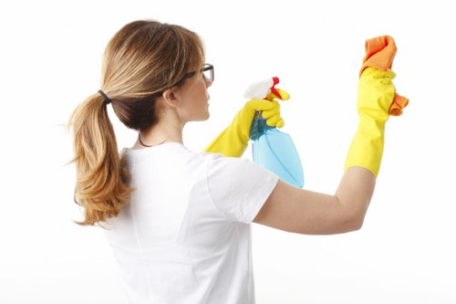 Professional bathroom move in cleaning for a new home
